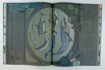 Kate Baker: Nejvyšší hora, nejmenší hvězda