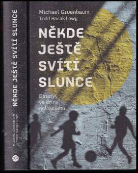 Michael Gruenbaum: Někde ještě svítí slunce