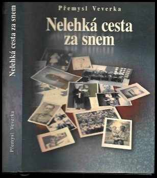 Nelehká cesta za snem