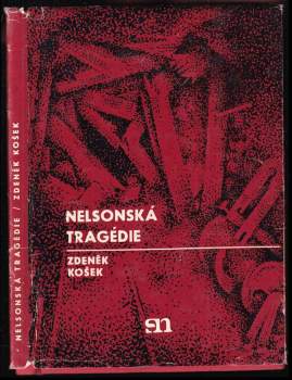Nelsonská tragédie