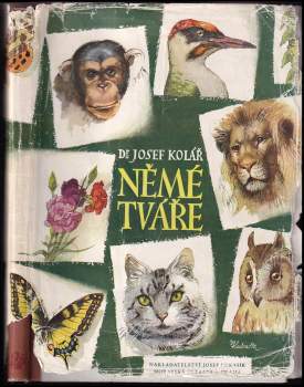 Němé tváře