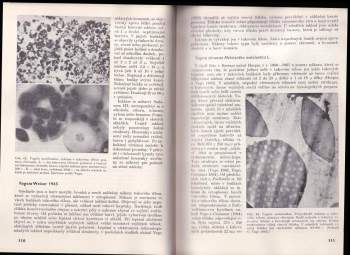 Jaroslav Weiser: Nemoci hmyzu