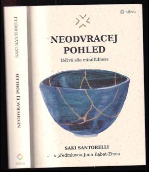 Neodvracej pohled : léčivá síla mindfulness