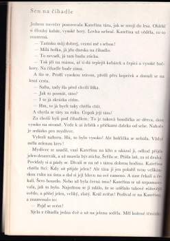 Daisy Mrázková: Neplač, muchomůrko