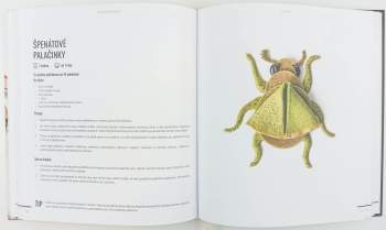 Markéta Lorenc Trpišovská: Neplecha na plechu