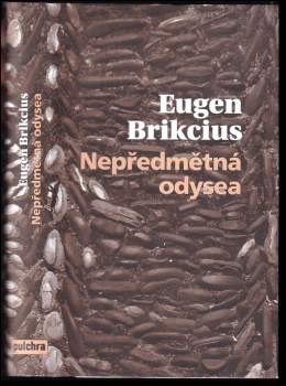 Nepředmětná odysea