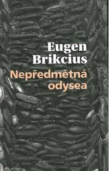 Nepředmětná odysea