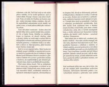 Erich Maria Remarque: Nepřítel