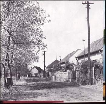 Miroslav Slach: Neratovice