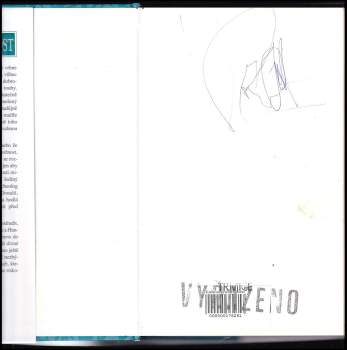 Shannon Drake: Nerozvážnost