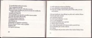 Vladimír Reisel: Neskutečné město