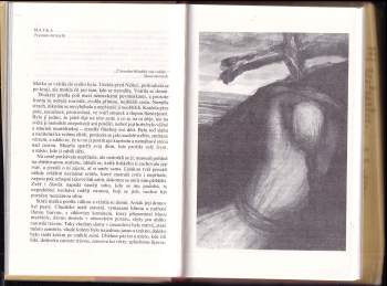 Andrej Platonovič Platonov: Nesmrtelní