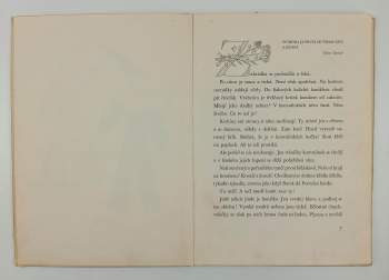 Marie Majerová: Nespokojený králíček