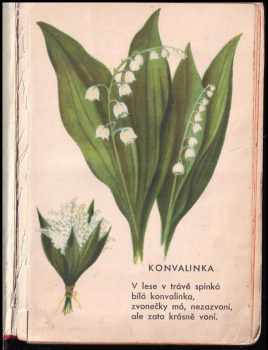 František Hrubín: Nesu, nesu kvítí