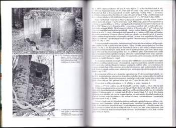 Ivo Vondrovský: Netypické objekty československého lehkého opevnění z let 1936-1938