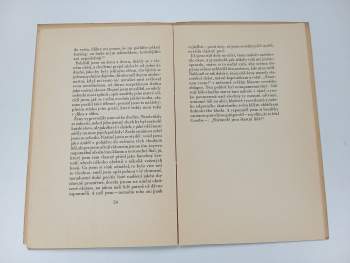 Stefan Zweig: Neviditelná sbírka