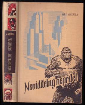 Neviditelný nepřítel