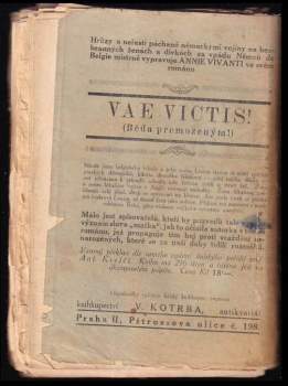 Václav Špaček: Nevlastní bratři