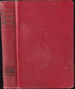 Nevlastní matka a syn