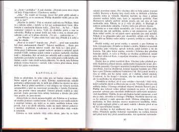 Danielle Steel: Nevýslovná láska