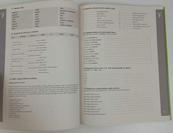 Lída Holá: New Czech step by step