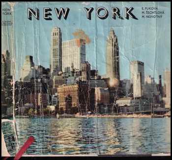 Miloň Novotný: New York