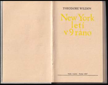 Theodore Wilden: New York letí v 9 ráno