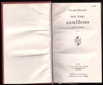 Zdeněk Němeček: New York: zamlženo