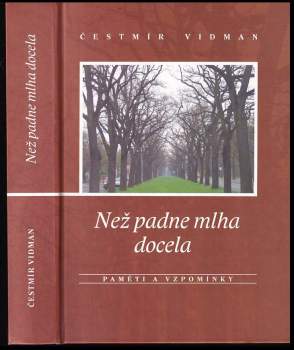 Než padne mlha docela