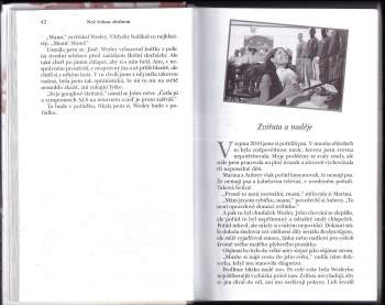 Bret Witter: Než řeknu sbohem