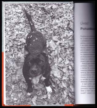 František Šusta: Neznám druhé takové zvíře, jako je pes, aneb, Vyznání trenéra zvířat nejlepšímu příteli člověka