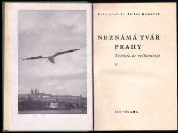 Julius Komárek: Neznámá tvář Prahy