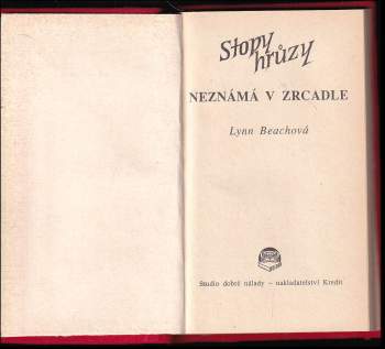 Lynn Beach: Neznámá v zrcadle