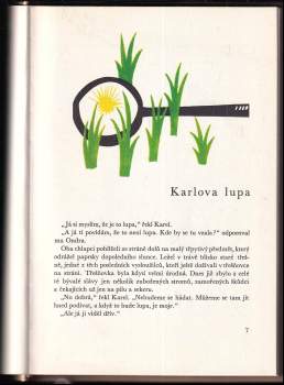 Štěpán Neubauer: Neznámý svět