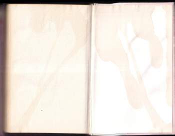 Rexanne Becnel: Něžné intriky