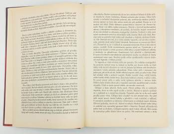 Lee Child: Nezvaný host