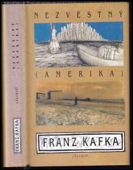 Nezvěstný (Amerika)