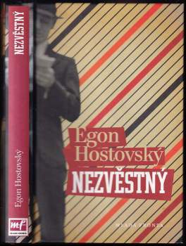 Nezvěstný