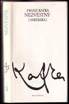 Nezvěstný