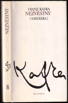 Nezvěstný