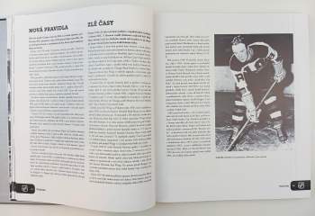 Arthur Pincus: NHL