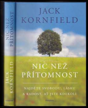 Nic než přítomnost