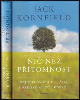 Jack Kornfield: Nic než přítomnost