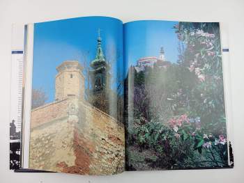 Alexander Ruttkay: Nitra