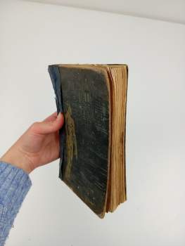 Robert Kraft: Nobody