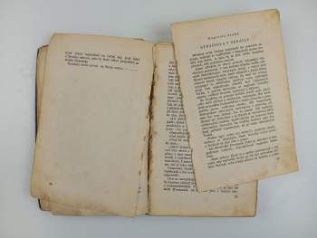 Robert Kraft: Nobody