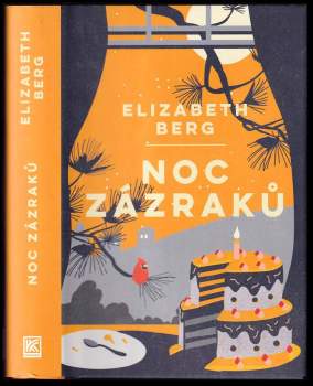 Elizabeth Berg: Noc zázraků
