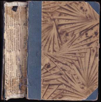 Karel Ladislav Kukla: Noční Prahou