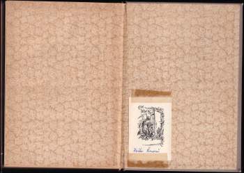 Růžena Jesenská: Nocturno moře