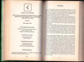 Paul Rhys Mountfort: Nordické runy